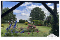 Blick in den Garten