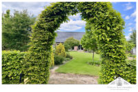 Blick vom hinteren Garten aus
