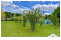 Obstgarten