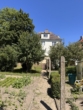 Garten - Kapitalanleger aufgepasst – Mehrfamilienhaus mit 3 Wohnungen in Grevesmühlen zu verkaufen