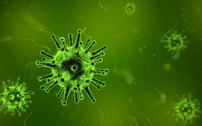 Coronavirus – digitale Besichtigungen statt Besichtigung vor Ort